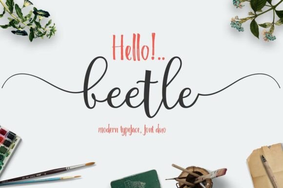 Beetle Duo Font: A Guide to Whimsical & Modern Design